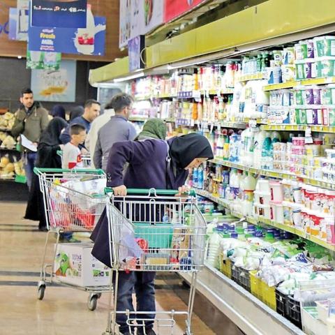 Fixed-Rate Subsidized Forex Weighs on Iran’s Economy